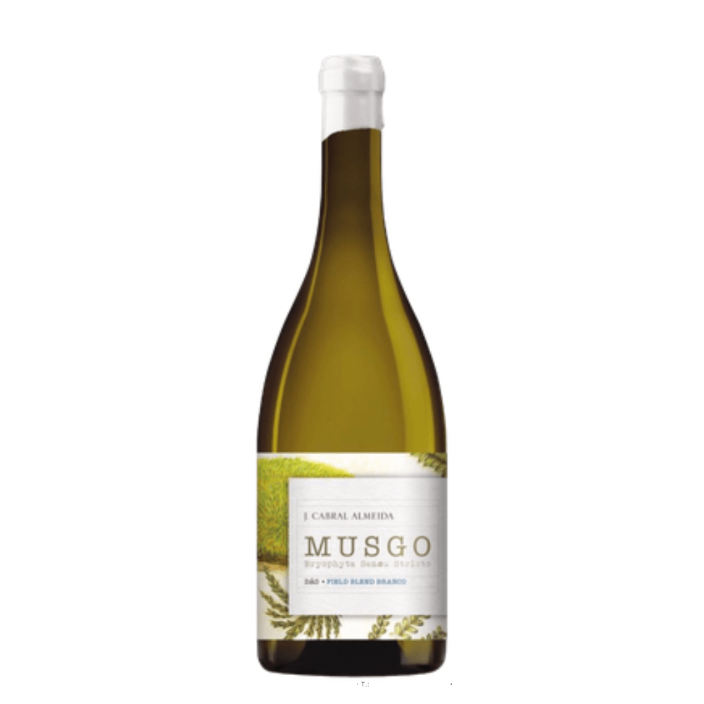 Joao Cabral Almeida Musgo Field Blend Branco 2023 - In The Cru