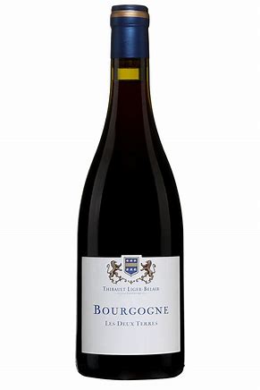 Thibault Liger-Belair Bourgogne "Les Deux Terres" 2020 - In The Cru