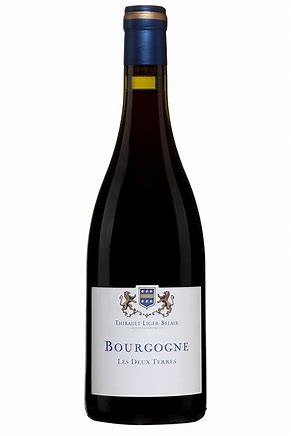 Thibault Liger-Belair Bourgogne &quot;Les Deux Terres&quot; 2020 - In The Cru